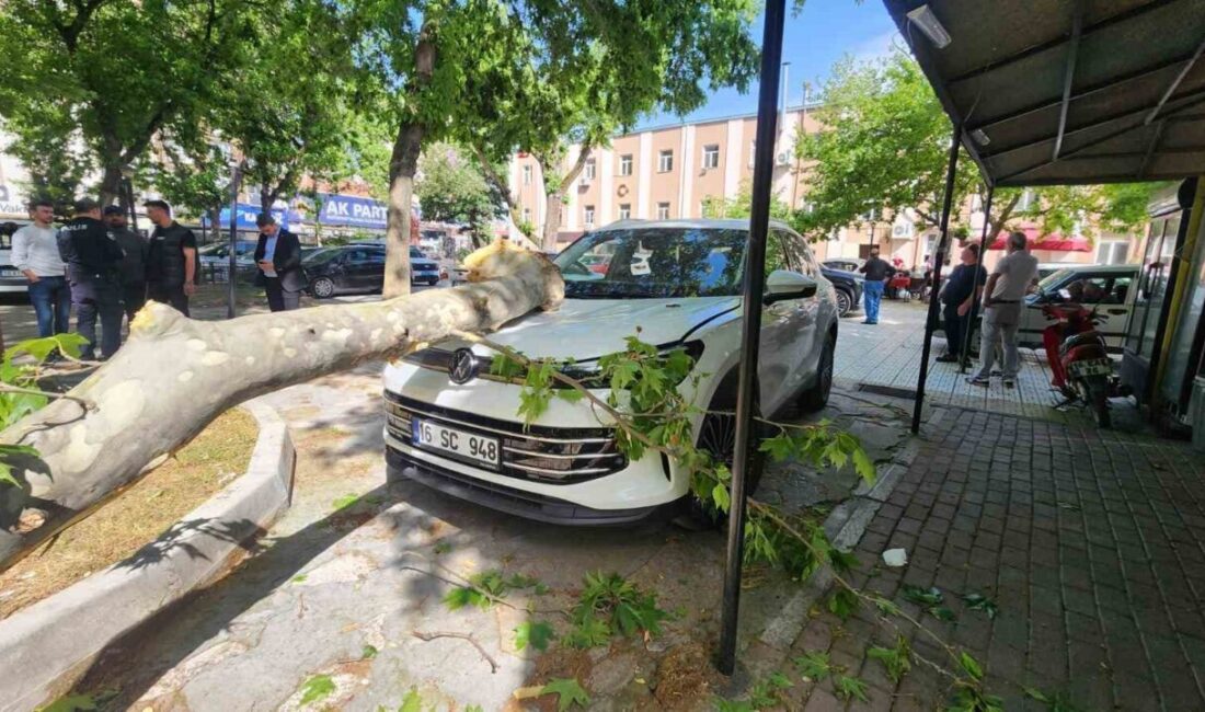 Çınar ağacının kopan dalı lüks araçta hasara yol açtı Bursa’nın Mustafakemalpaşa ilçesinde öğretmenevinin bahçesinde bulunan çınar ağacından kopan büyük