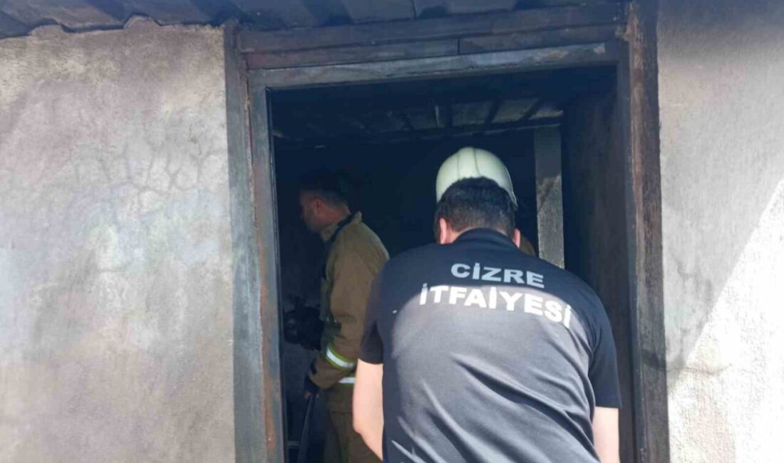 Cizre’de odunlukta çıkan yangın paniğe neden oldu Şırnak’ın Cizre ilçesinde odunlukta çıkan yangın itfaiye ekipleri tarafından söndürüldü.
