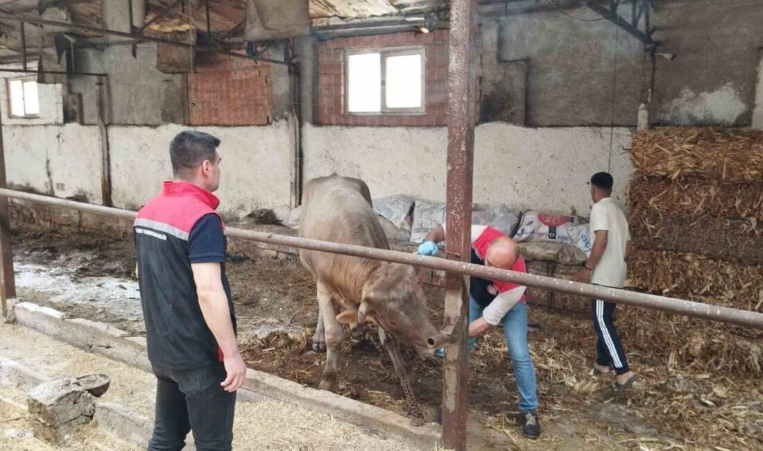 Çorum’da hayvan pazarları kapatıldı Çorum’daki tüm hayvan pazarları şap hastalığı riski sebebiyle kapatıldı. Çorum’da