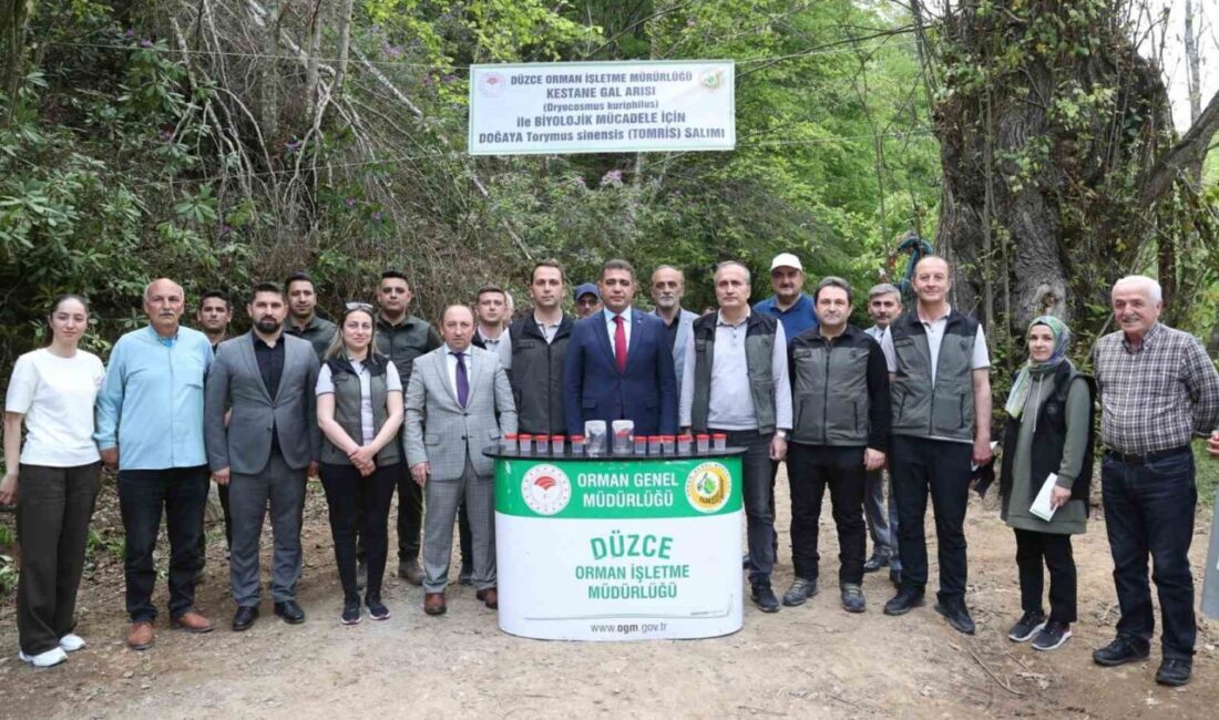 Düzce 80 bin adet böcek salınacak DÜZCE(İHA) – Düzce’de Kestane Gal arısı zararlısına karşı bu yıl