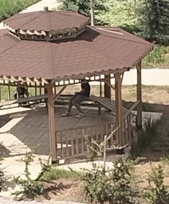 Elazığ’da kamelyalara zarar verdiler Elazığ’da iki kişi, park alanında bulunan kamelyalara zarar verdi. O