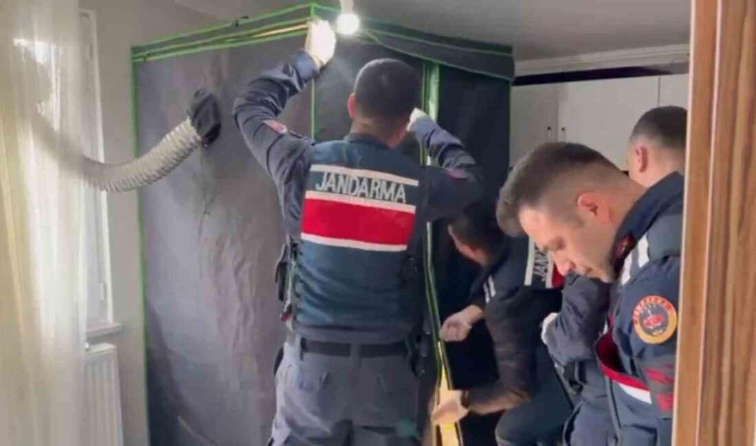 Elbise dolabından uyuşturucu serası çıktı: 4 tutuklama Tekirdağ’da jandarma ekiplerinin son bir haftada gerçekleştirdiği uyuşturucu ve silah