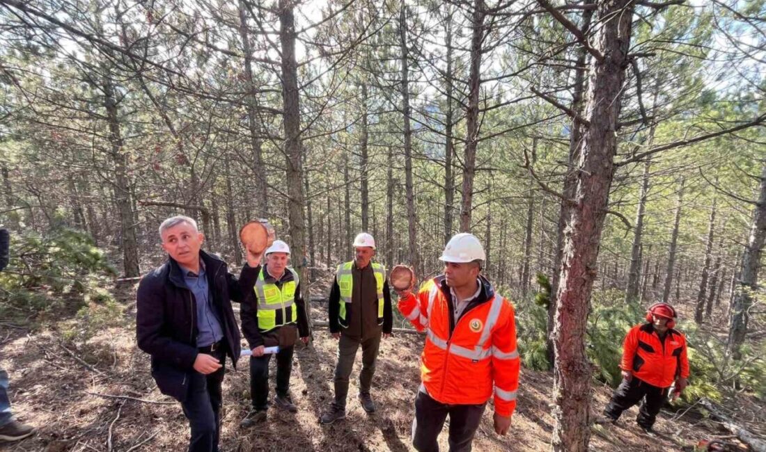Emet Orman İşletme Müdürlüğü’nde silvikültür ve işletme pazarlama eğitimi Emet Orman İşletme Müdürlüğü ev sahipliğinde, ormancılık faaliyetlerinin etkinliğini ve