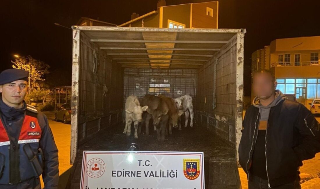 Enez’de ağıldan 6 adet hayvan çalan şüpheliler yakalandı Edirne’nin Enez ilçesine bağlı Çataltepe köyünde bir ağıldan 6 adet