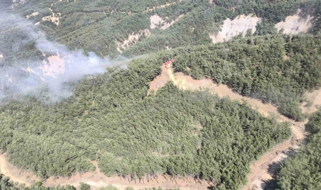 Gökçeada’da orman yangını Çanakkale’nin Gökçeada ilçesinde çıkan orman yangını ormanlık alanda çıkan yangın,