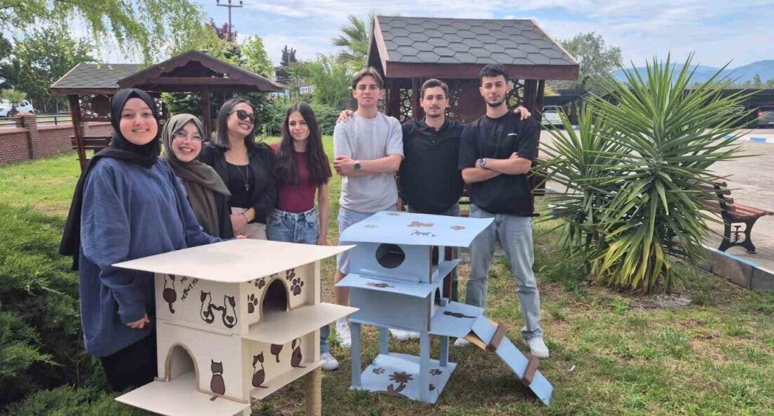 Havran MYO öğrencilerinden kedilere sıcacık yuva Balıkesir’in Havran ilçesinde Meslek Yüksekokulu öğrencileri, yerleşke içerisinde yaşayan sokak