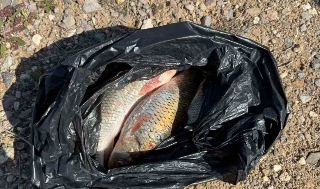 Kaçak Balık avı yapan 2 kişi yakalandı KIRŞEHİR (İHA) – Kırşehir’de yasa dışı balık avcılığı yaptığı belirlenen