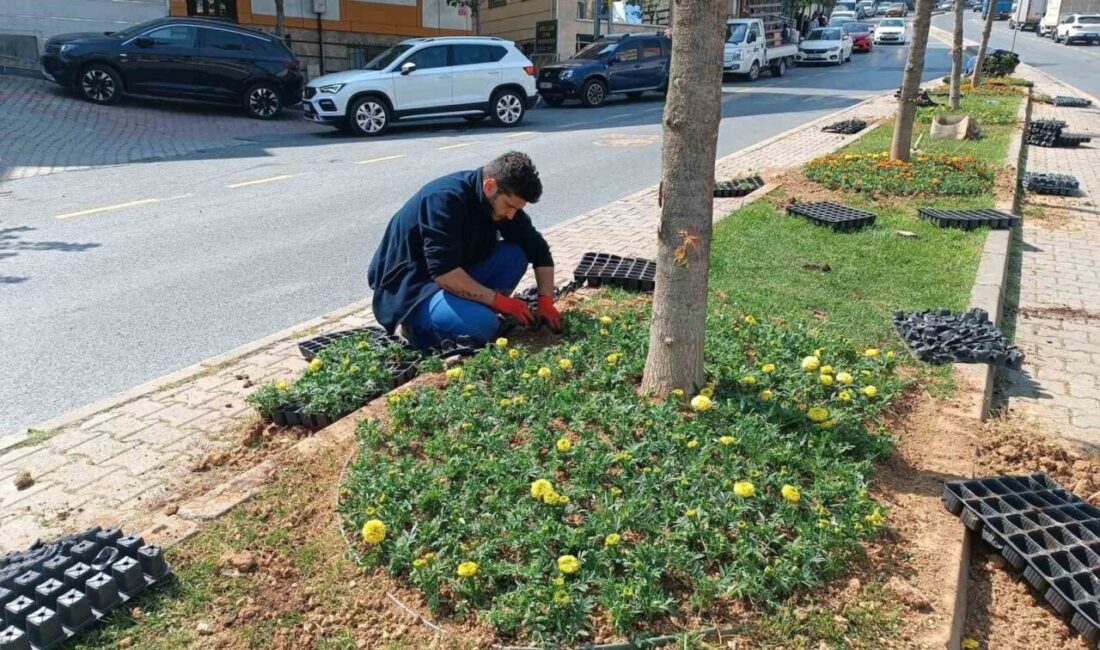 Kağıthane’de yeşil alanlarda bakım çalışması yapıldı Kağıthane Belediyesi, ilçedeki park ve yeşil alanların bakımını düzenli olarak