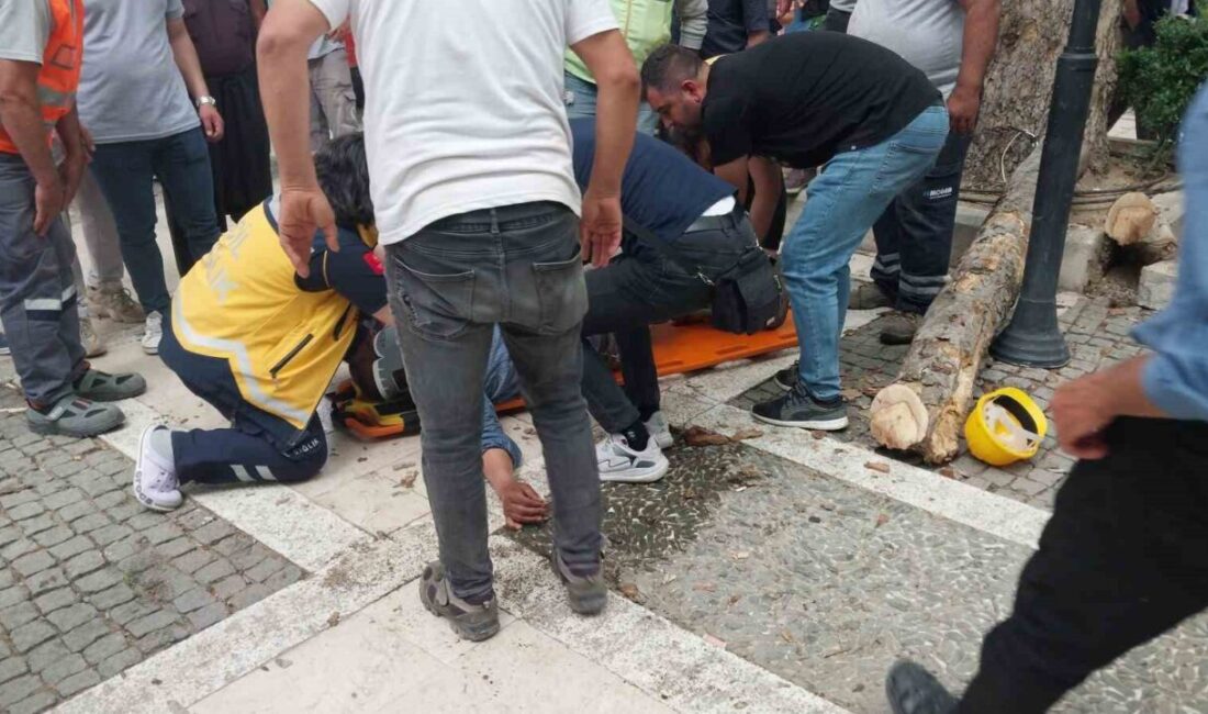 Kestiği dalı ayağıyla iterken düşen işçi ağır yaralandı Mersin’in Mut ilçesinde budama yaptığı kepçeden düşen belediye işçisi ağır