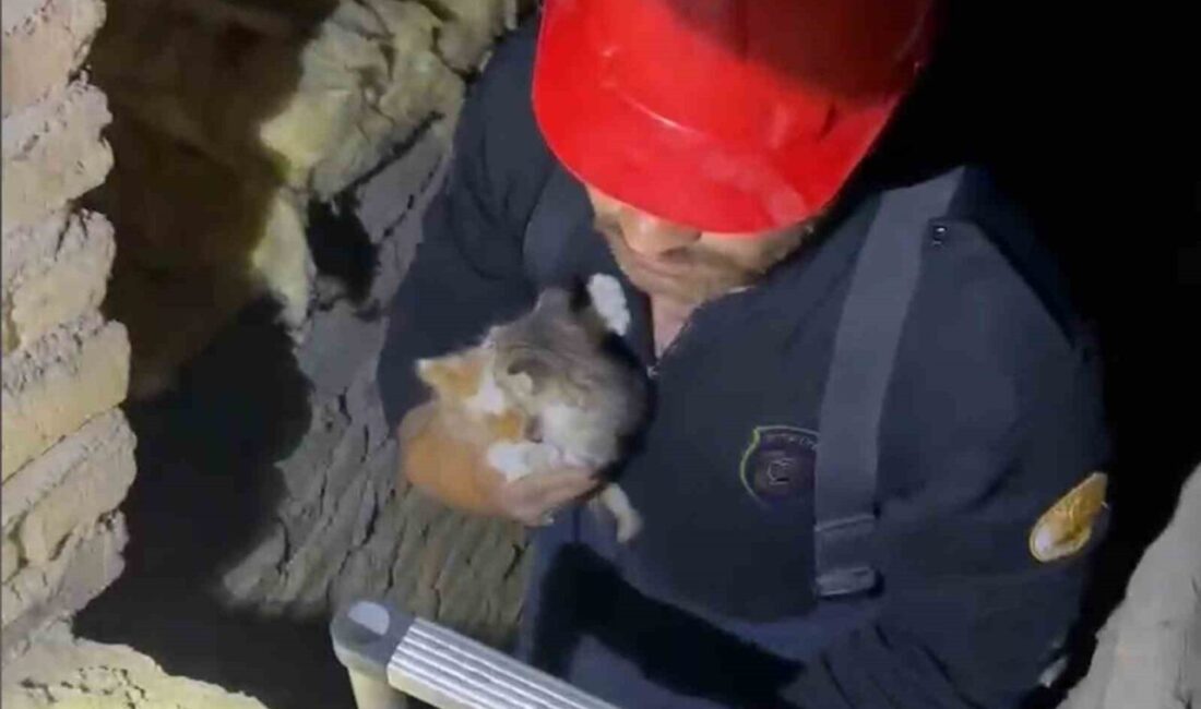 Kırıkkale’de havalandırma boşluğuna düşen yavru kediler kurtarıldı Kırıkkale’de bir apartmanın havalandırma boşluğuna düşen 2 yavru kedi, itfaiye