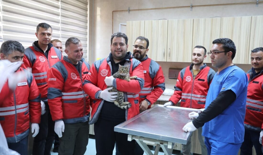 Kocasinan Belediyesi’nden veterinerlik personeline sertifikalı eğitim Kocasinan Belediyesi, Erciyes Üniversitesi işbirliği ile Veteriner İşleri Müdürlüğü ekiplerine