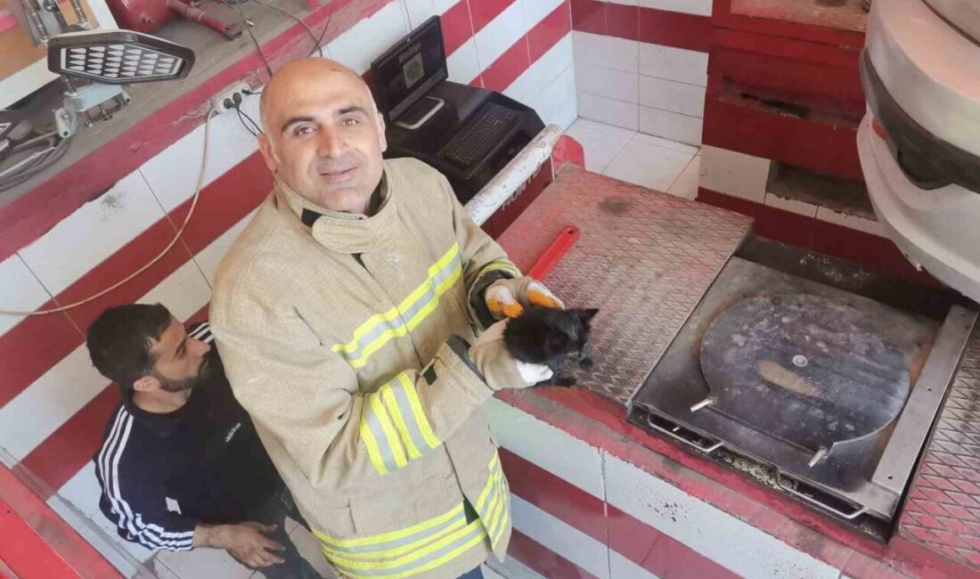 Mardin’de otomobilin motor bölümüne sıkışan yavru kedi kurtarıldı Mardin’in Artuklu ilçesinde bir otomobilin motor bölümüne sıkışan yavru kedi,