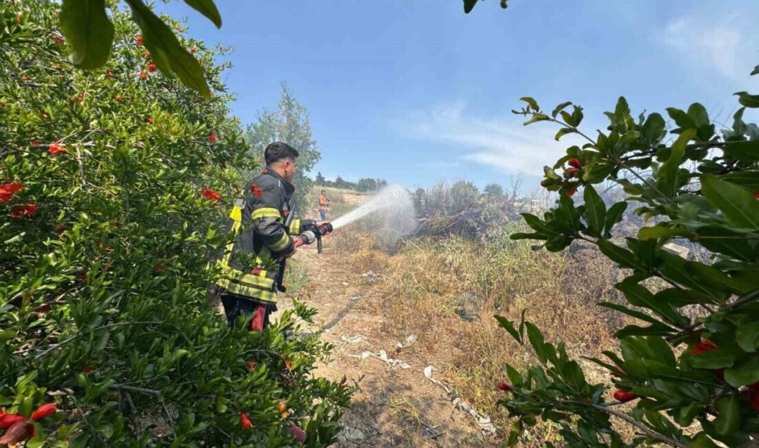 Mersin’de çalılık yangını bahçeye sıçramadan söndürüldü Mersin’de çalılık alanda çıkan yangın, itfaiye ekiplerinin müdahalesiyle nar bahçesine