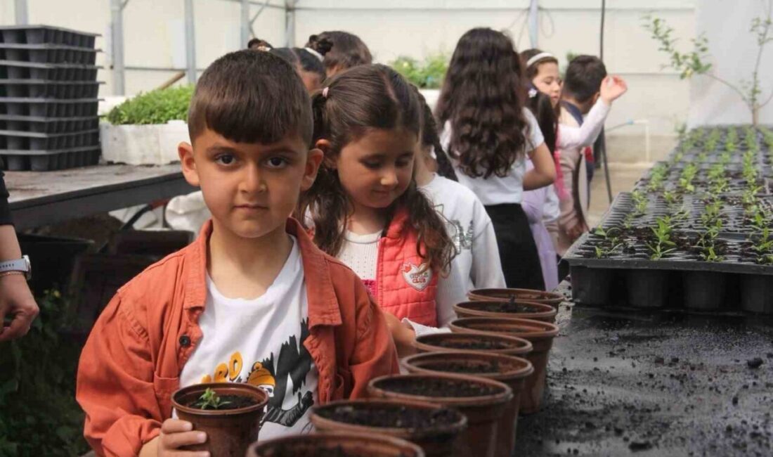 Minik öğrenciler seralarda doğayla buluştu İskele Anaokulu öğrencileri, Van Büyükşehir Belediyesine ait seraları gezerek doğayla