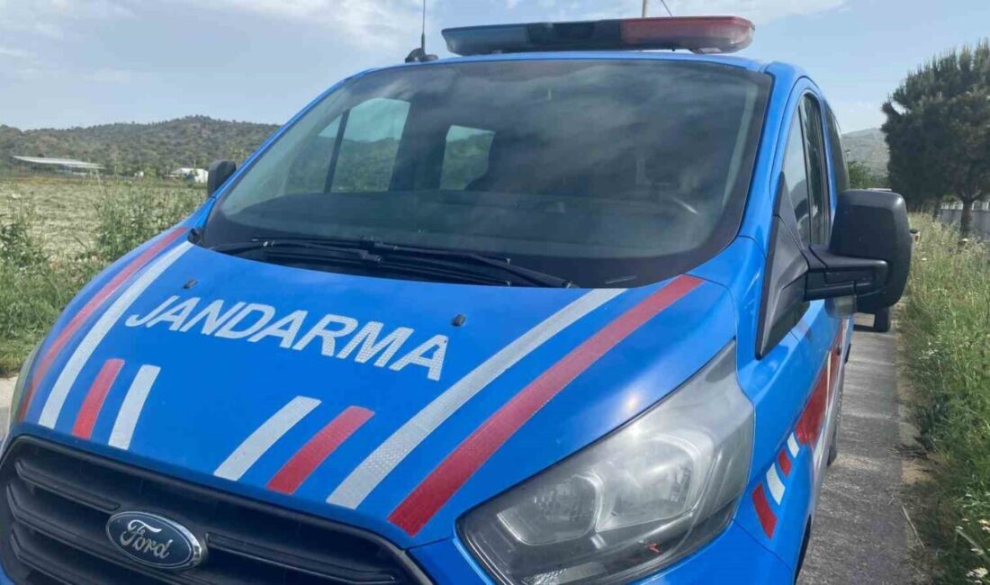 Nazilli’de bir şahıs ölü bulundu Aydın’ın Nazilli ilçesinde bir şahıs evinin bahçesinde ölü olarak bulundu.