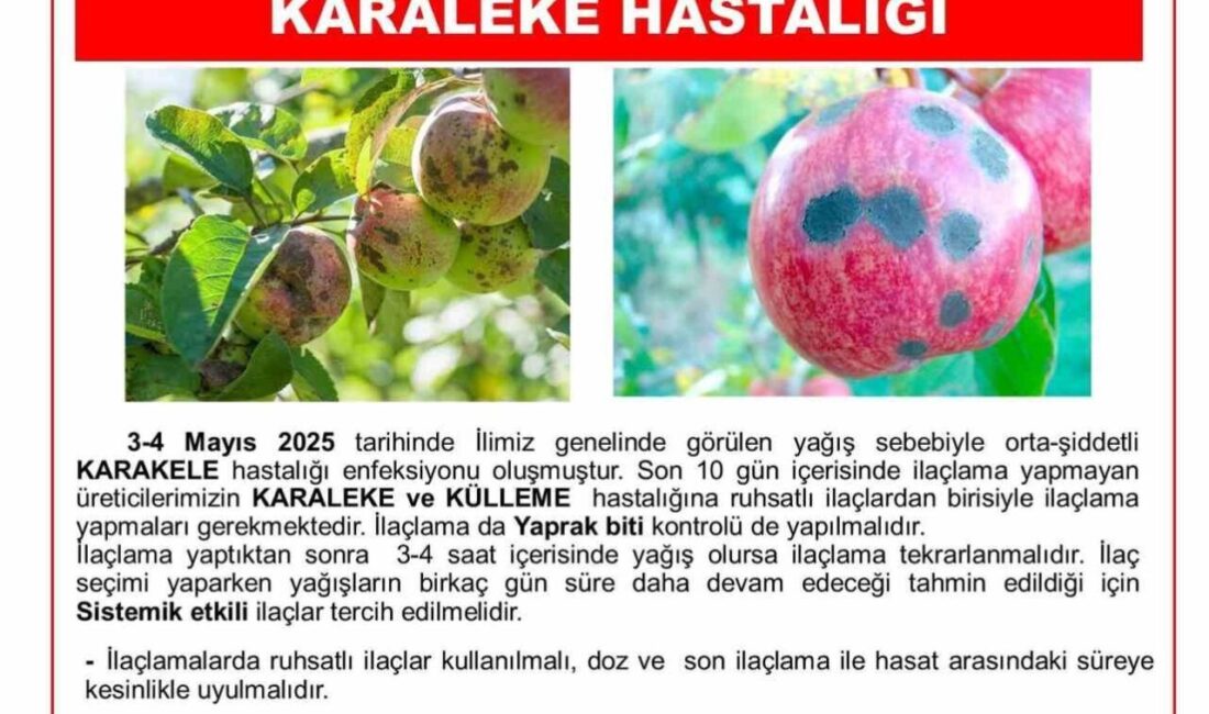 Niğde Tarım İl Müdürlüğü’nden Karaleke Uyarısı: Üreticiler ilaçlama yapmalı Niğde İl Tarım ve Orman Müdürlüğü, il genelinde etkili olan
