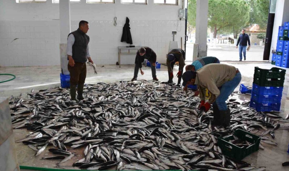 Nisan ayında Muğla’dan ülke ekonomisine 95,2 milyon dolarlık ihracat katkısı Su ürünleri, narenciye ve madencilik sektöründe Ege Bölgesinde önemli bir