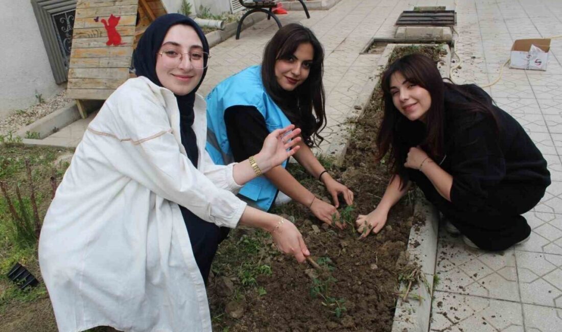 Öğrencilere hobi bahçesi kuruldu Erzincan Gençlik ve Spor İl Müdürlüğü Salih Baba Yurdu’nda öğrenciler