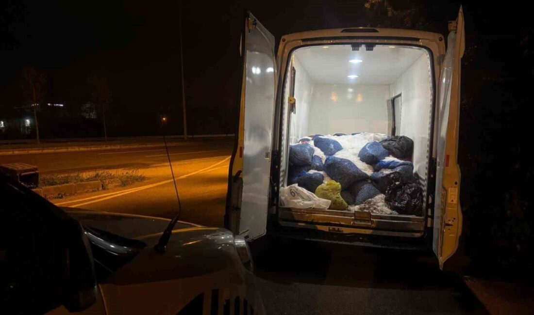 Samsun’da 3,8 ton kaçak avlanmış midye ele geçirildi Samsun’da polis ekiplerinin gerçekleştirdiği operasyonda, 207 çuval içinde toplam 3