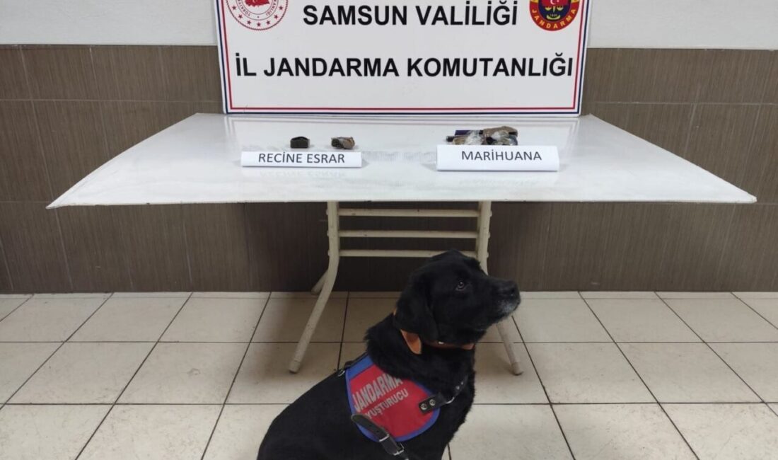 Samsun’da uyuşturucu operasyonu: 1 gözaltı Samsun’da jandarma ekipleri tarafından düzenlenen uyuşturucu operasyonunda 1 kişi gözaltına
