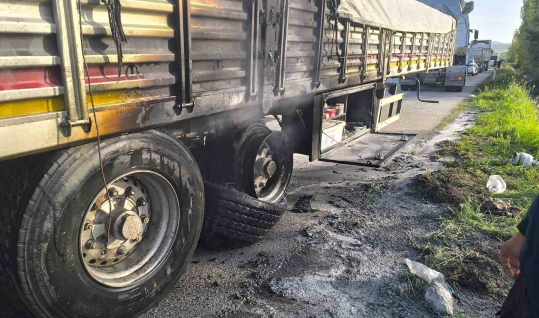Seyir halindeki tırın dorsesi alev aldı: 1 yaralı Çorum’un Sungurlu ilçesinde seyir halindeki bir tırın dorsesinde çıkan yangına