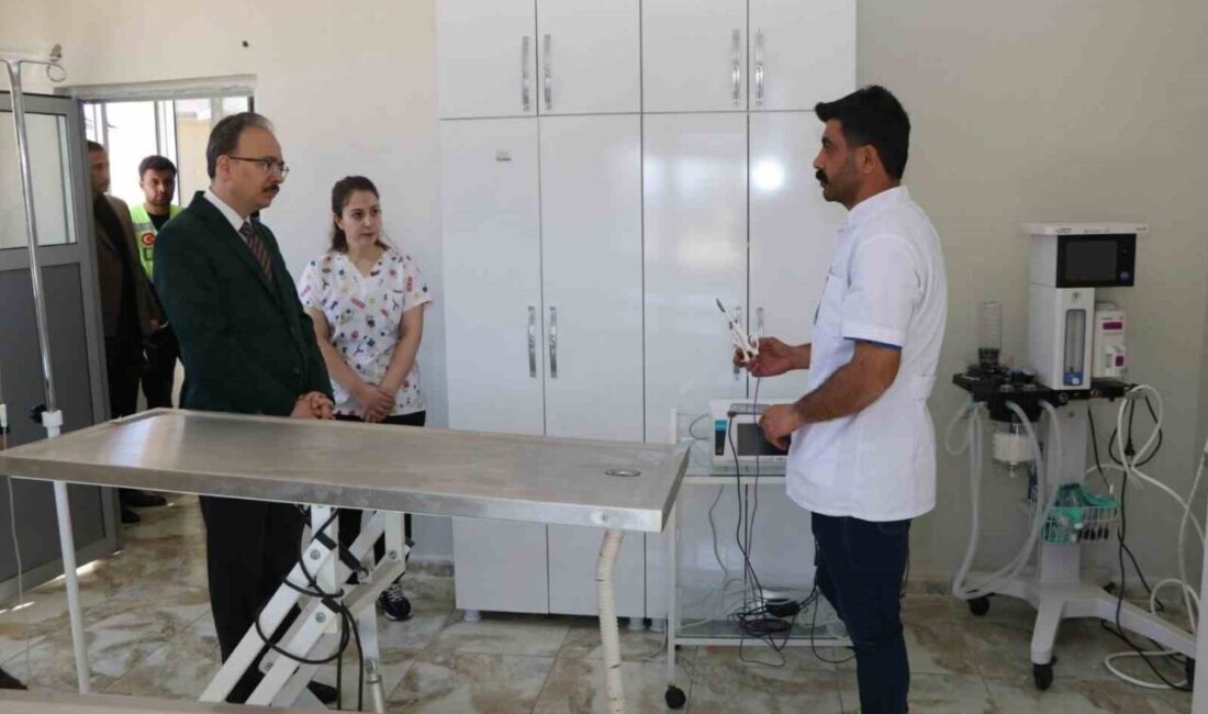 Siirt’te sahipsiz hayvanlar bu merkezde güvenli şekilde yaşamlarını sürdürüyor Siirt’te sokaklardan toplanan sahipsiz hayvanlar, Sokak Hayvanları Bakımevi Rehabilitasyon Merkezi