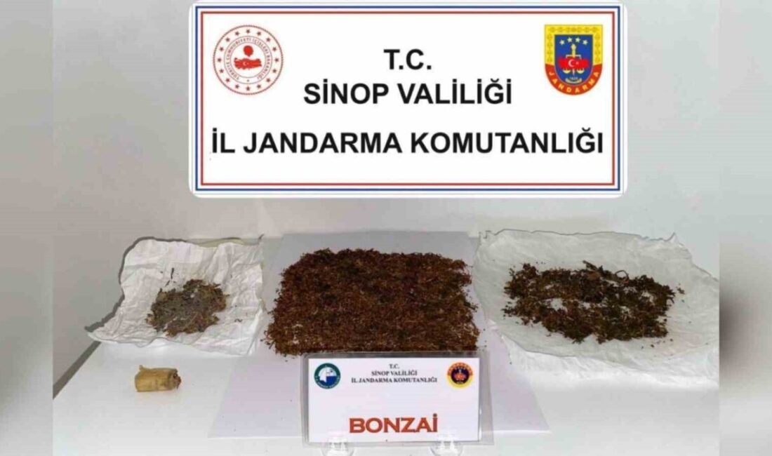 Sinop’ta zehir operasyonu Sinop’un Boyabat ilçesinde düzenlenen operasyonda 30,25 gram bonzai ele geçirildi,