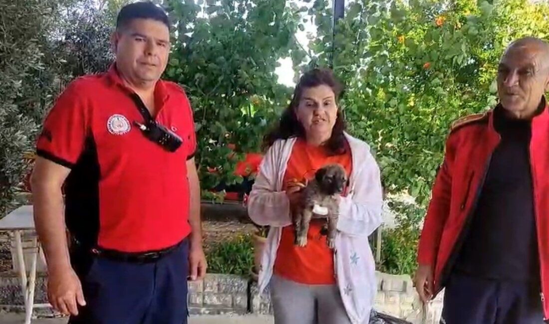 Su kenarında mahsur kalan köpeği itfaiye kurtardı Mersin’in Tarsus İlçesinde Berdan Irmağı kenarında mahsur kalan köpeği itfaiye