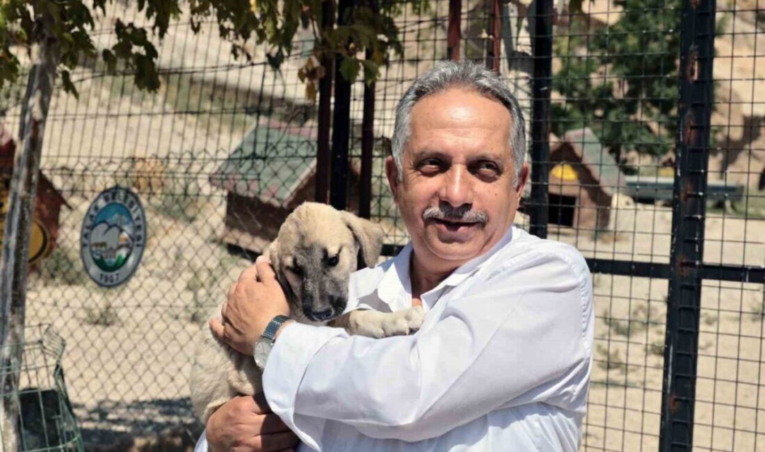 Talas Pati Evi, sahipsiz canlara yuva oluyor Talas Belediyesi bünyesinde faaliyet gösteren ve Türkiye’nin sayılı doğal yaşam