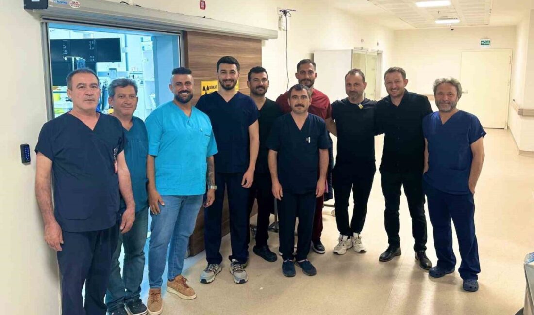 Tarsus’ta ilk defa bir hastaya kalıcı kalp pili takıldı Mersin’in Tarsus ilçesinde Devlet Hastanesi Anjiyografi Ünitesinde bir hastaya ilk