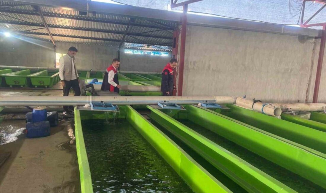 Uluköy’de yılda 15 milyon yavru üretiliyor Erzincan merkeze bağlı Uluköy’de faaliyet gösteren su ürünleri tesisinde yılda