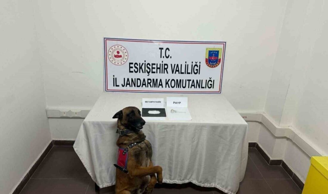 Uyuşturucu taşıyan şahıs yakalandı Eskişehir kent merkezinden, Beylikova ilçesine uyuşturucu madde taşıdığı tespit edilen