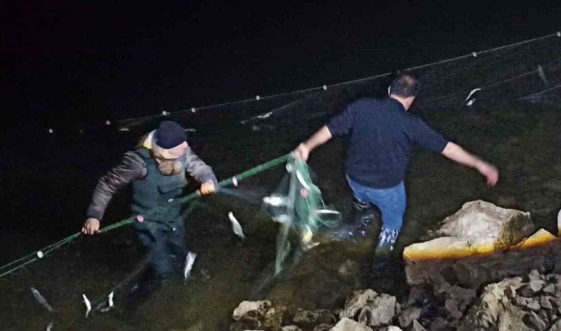 Van’da 5 ton 650 kilo inci kefaline el konuldu Van’da av yasağının başladığı 15 Nisan’dan bu yana toplam 5