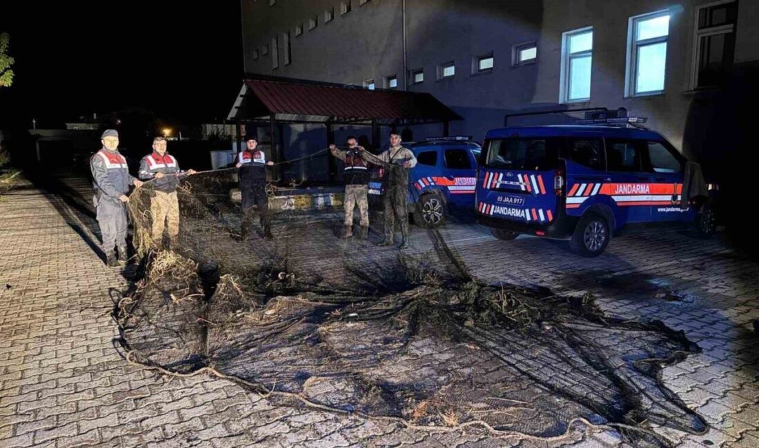 Van’da ele geçirilen 1 ton canlı balık suya bırakıldı Van’ın Muradiye ilçesinde ekiplerin yaptıkları denetimlerde 1 ton canlı inci