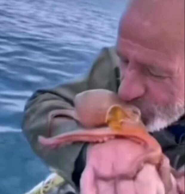 Yakaladığı ahtapotu öpüp sevdi, denize bıraktı Aydın’ın Didim ilçesinde bir balıkçı, ağına takılan ahtapotu öperek sevdi