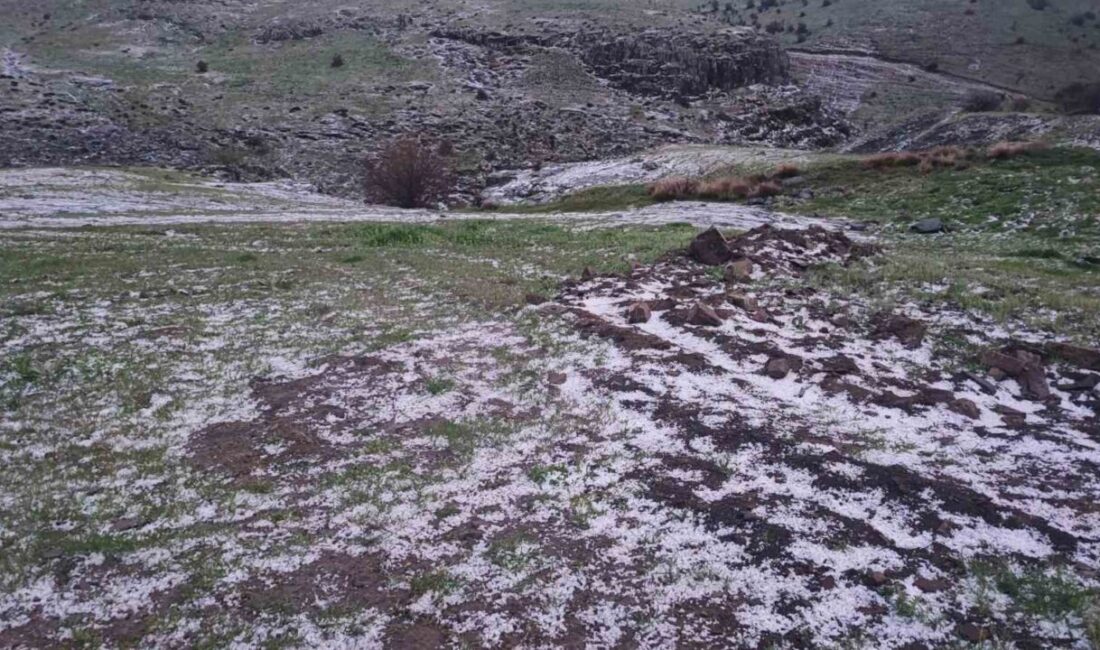 Yozgat’ta dolu yağışı yüksek kesimleri beyaza bürüdü Yozgat’ta akşam saatlerinde etkili olan sağanak yağış, yer yer doluya