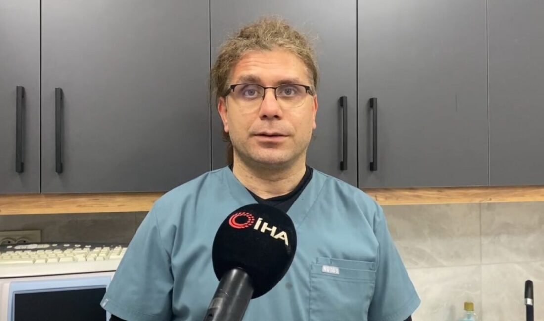 Yumurtadan 4 ayaklı civciv çıktı: Sebebini veteriner açıkladı Çankırı’nın Çerkeş ilçesinde kuluçkaya yatırılan tavuğun yumurtasından 4 ayaklı civciv
