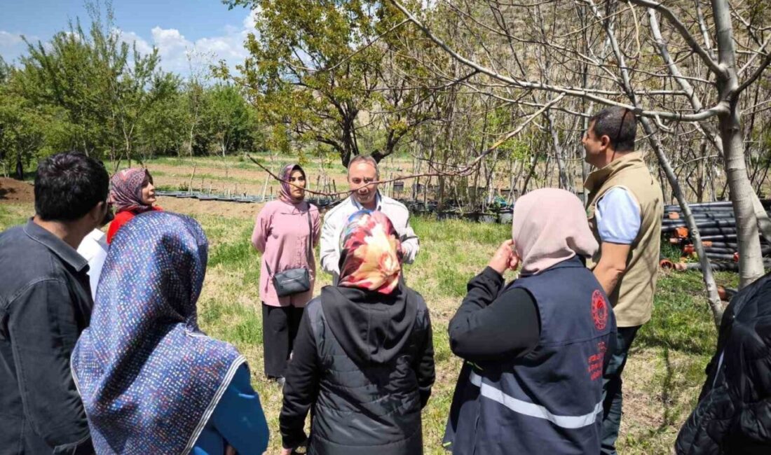 Zirai dona karşı sigorta yaptıran çiftçilerin zararları inceleniyor Erzincan’da Mart ayı içerisinde meydana gelen zirai don zararının ardından
