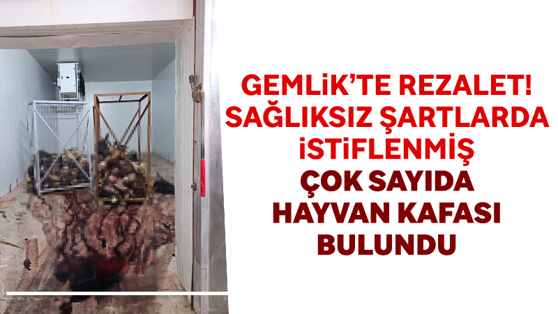 Bursa’nın Gemlik ilçesinde ruhsatsız olarak faaliyet gösteren bir iş yerinde,