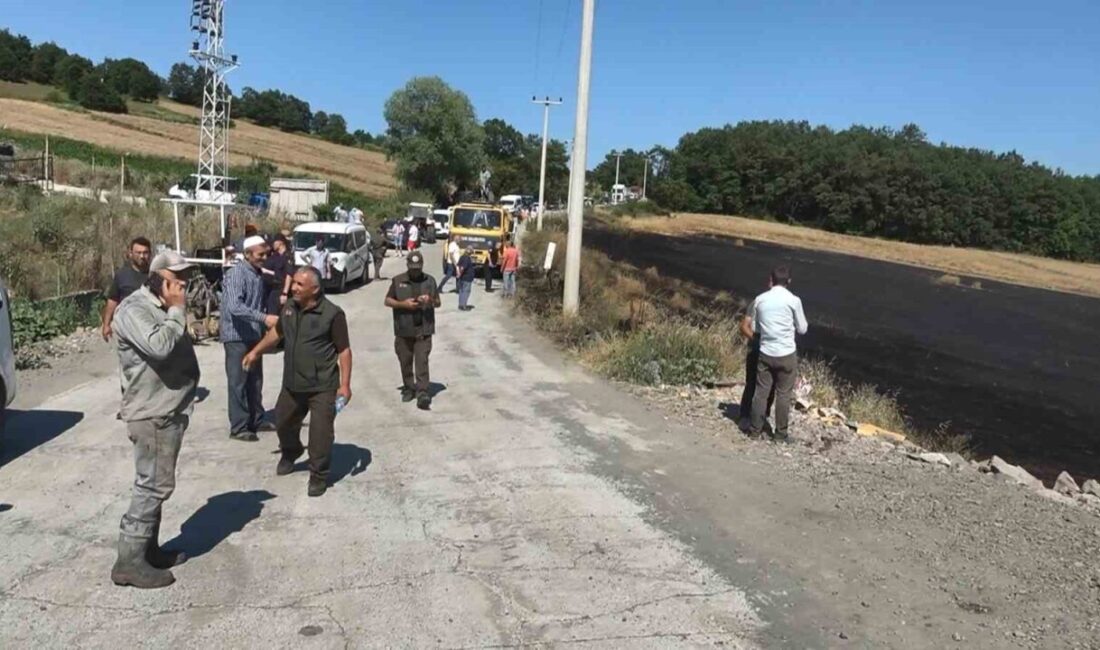 Samsun’un Atakum ilçesinde buğday ekili tarlada çıkan yangın, yaklaşık 30
