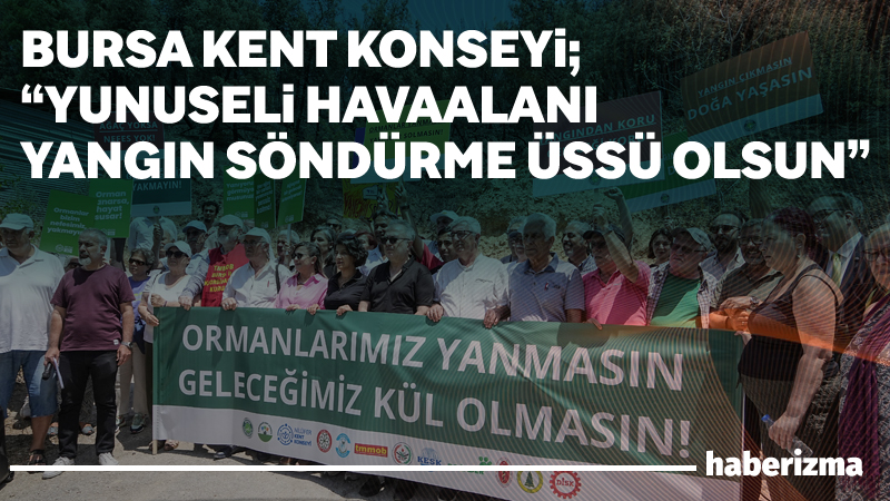 Bursa Kent Konseyi, DOĞADER ve çeşitli sivil toplum kuruluşları, Demirtaş