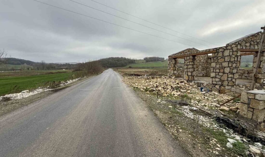 Sakarya’nın Kaynarca ilçesinde 12 yıllık eşini öldüren müzisyen koca, ikinci