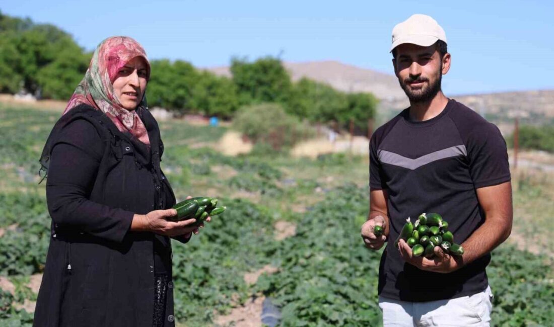 Elazığ’da yaşayan Cankara ailesi 14 yıldır tarlada herhangi bir kimyasal