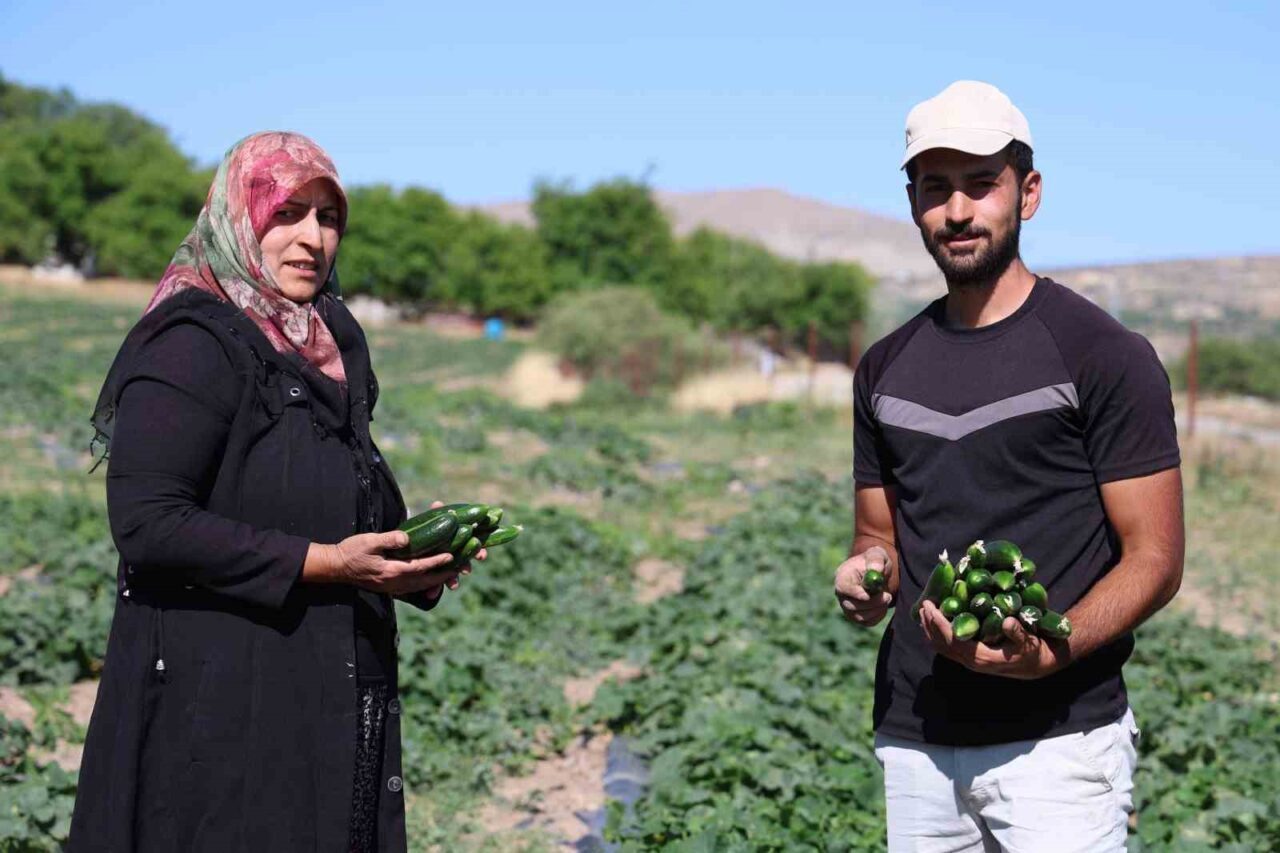 Elazığ’da yaşayan Cankara ailesi 14 yıldır tarlada herhangi bir kimyasal
