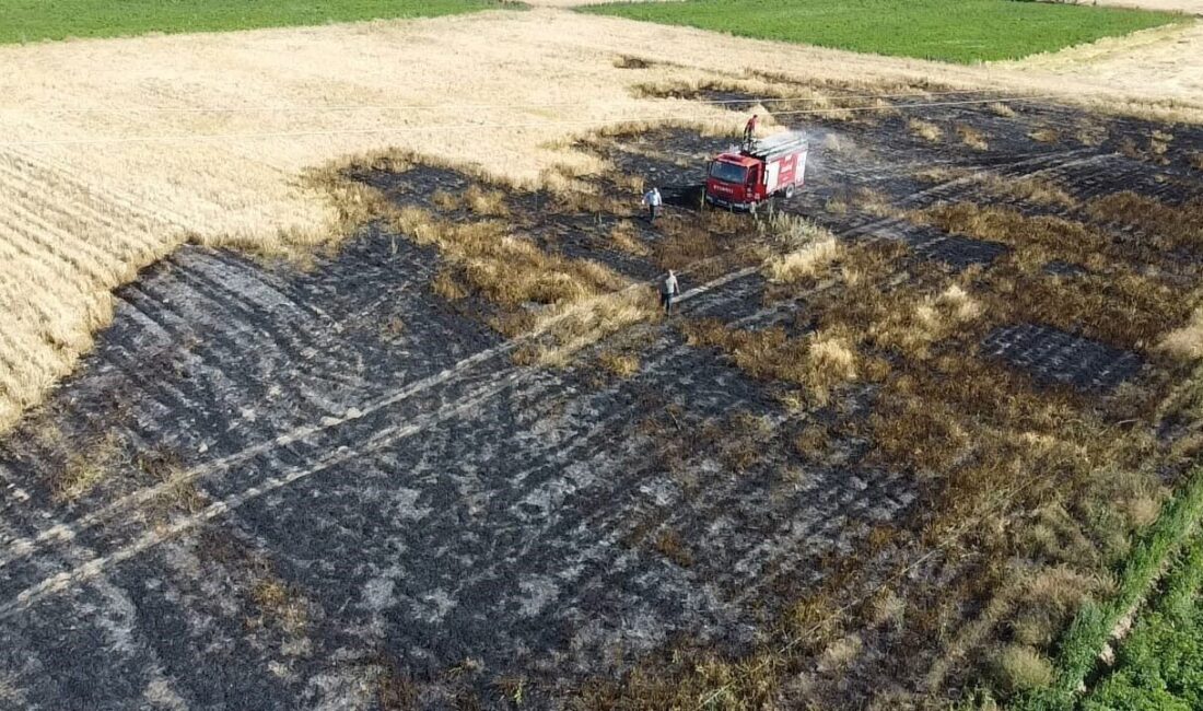 Afyonkarahisar’ın Şuhut ilçesinde buğday ekili tarlada çıkan yangında 2 dönümlük