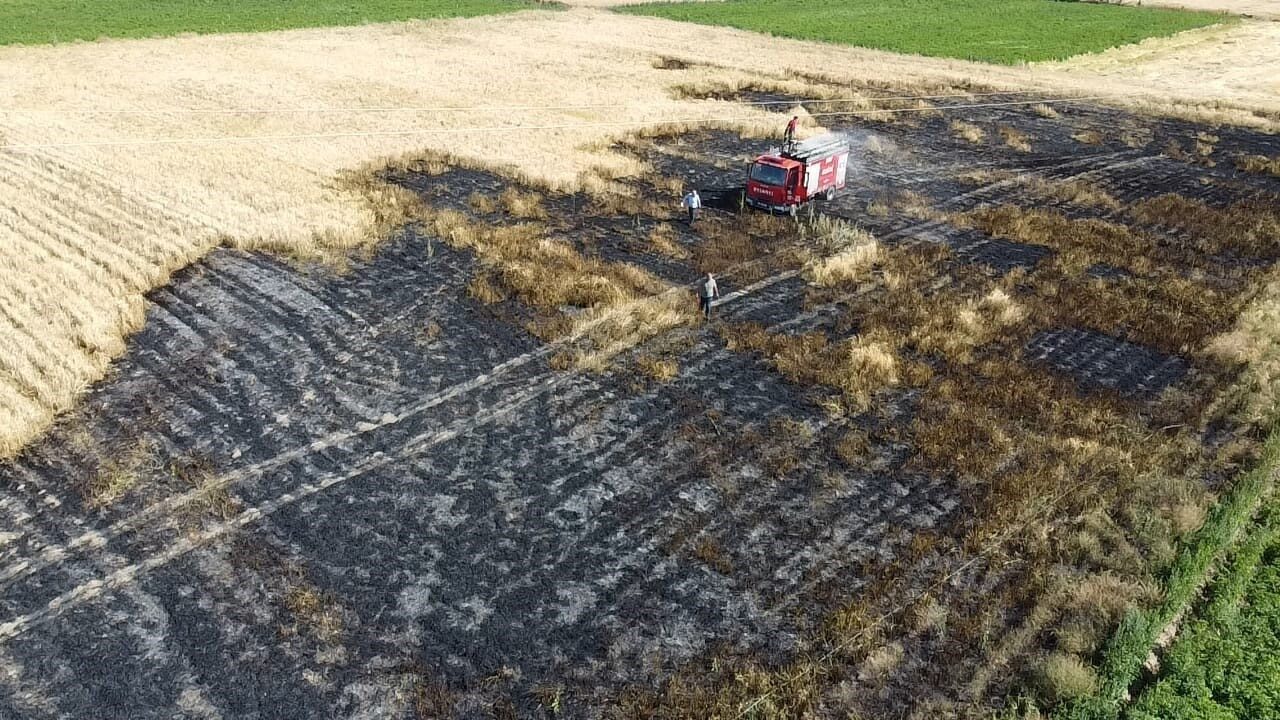 Afyonkarahisar’ın Şuhut ilçesinde buğday ekili tarlada çıkan yangında 2 dönümlük
