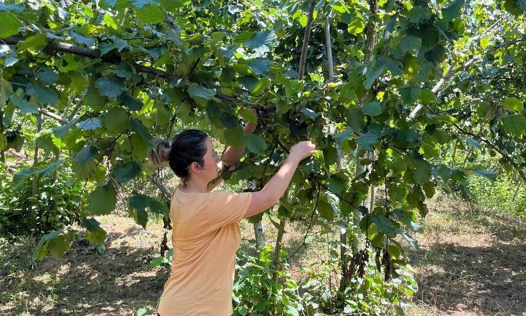 Tarım ve Orman Bakanlığı koordinesinde, paydaş kurumlardan oluşturulan komisyon tarafından