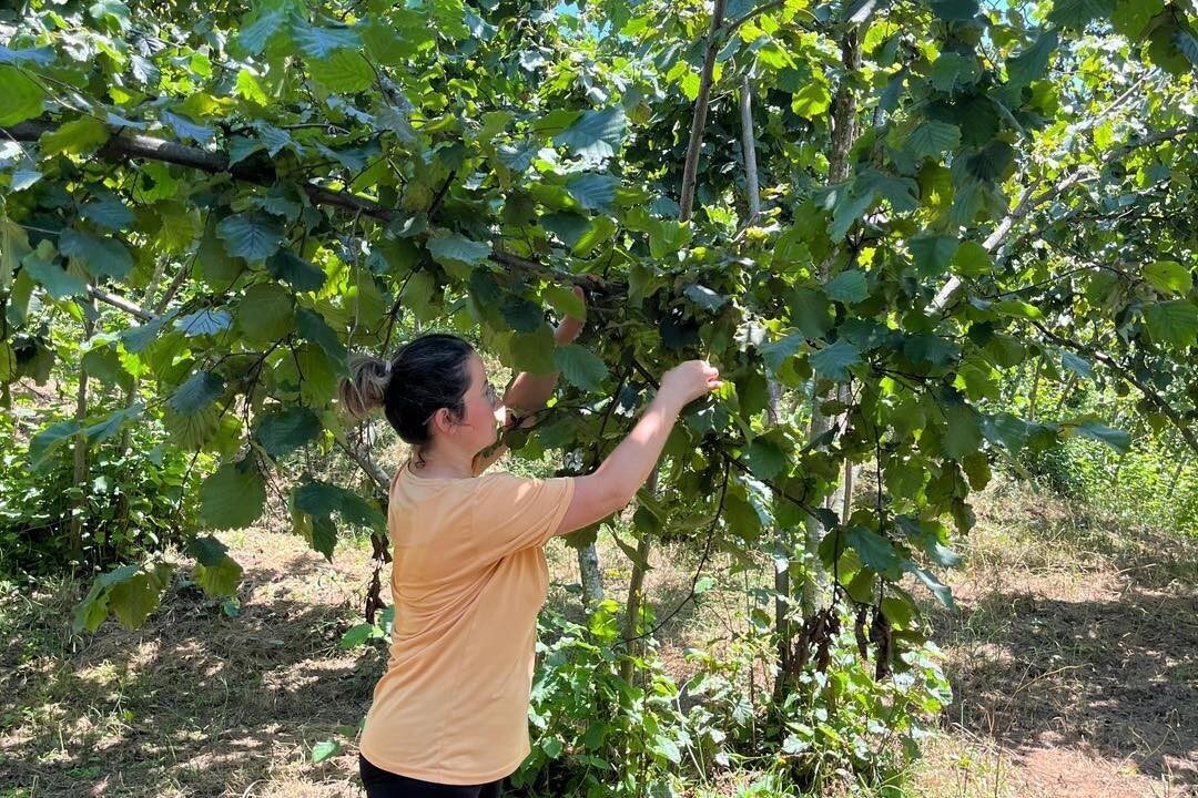 Tarım ve Orman Bakanlığı koordinesinde, paydaş kurumlardan oluşturulan komisyon tarafından