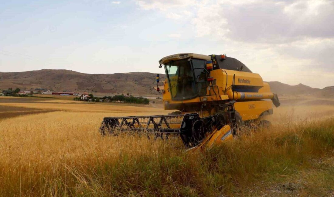 AK Parti Grup Başkanı Abdullah Güler, memleketi Sivas’ta hububat hasadına