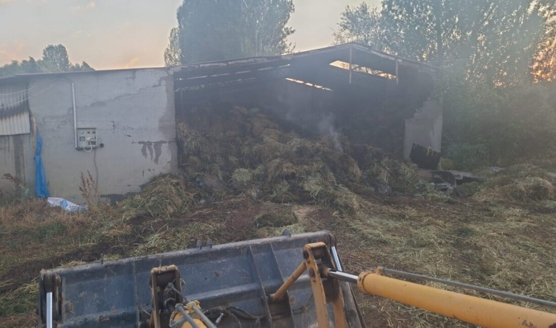 Afyonkarahisar’da çıkan yangında yaklaşık 3 kamyon saman yanarak zarar gördü.